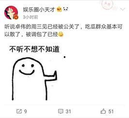 去年卓伟爆料视频大全最新,揭秘娱乐圈风云变幻  第2张